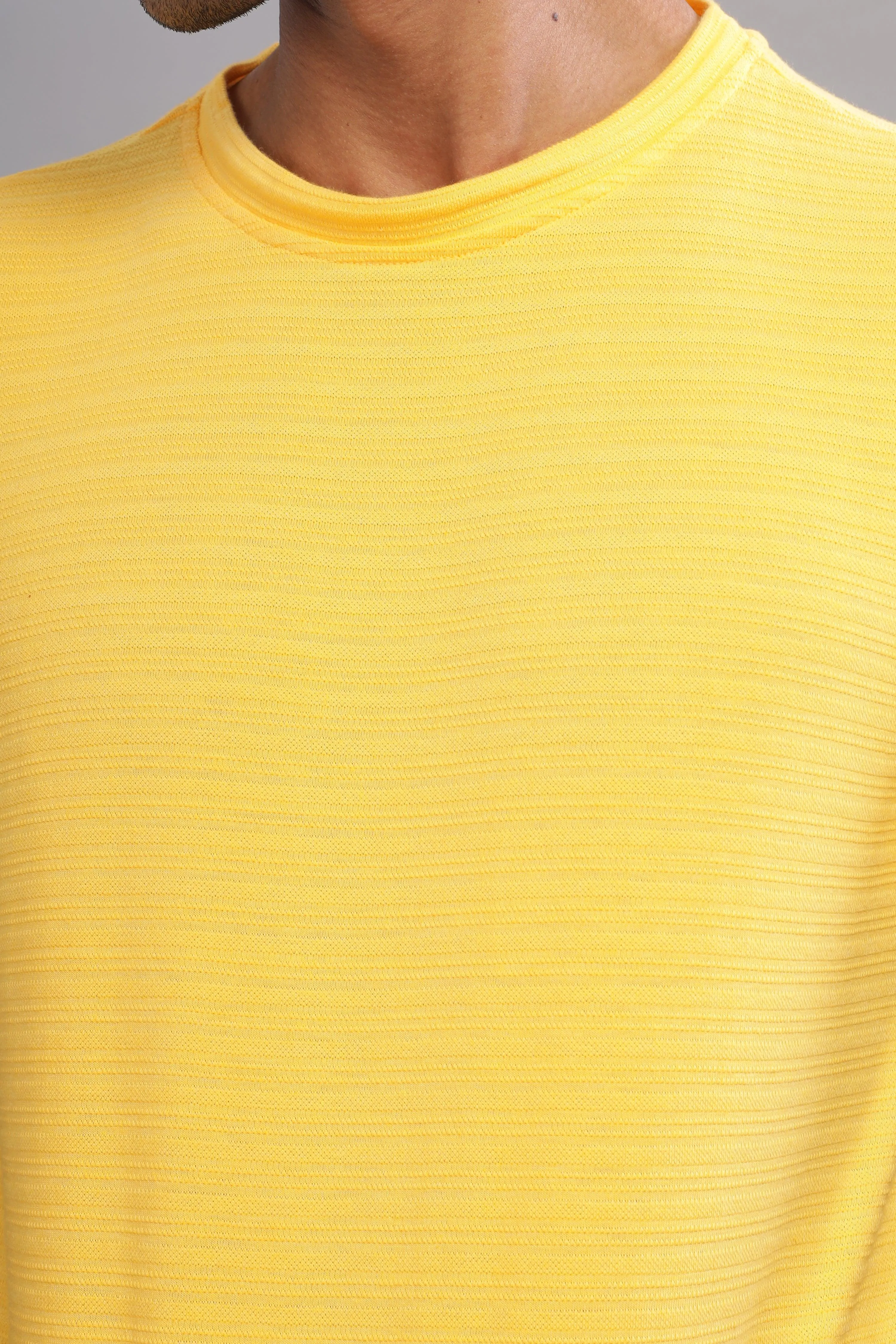 Lemon Lion Textured Half Sleeve Round Neck T-Shirt